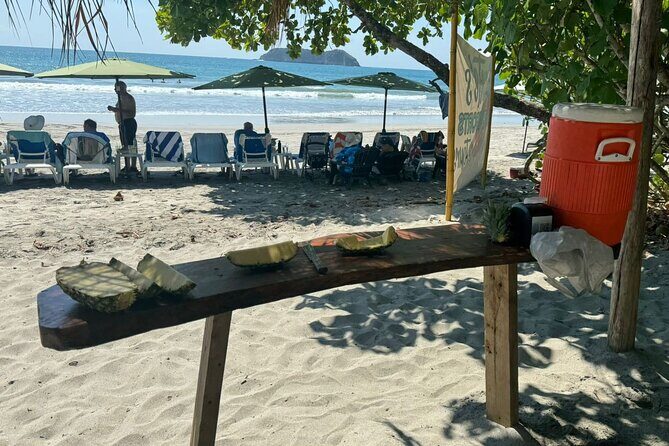 Beach Day Experience in Manuel Antonio - Reviews and Authentic Perspectives