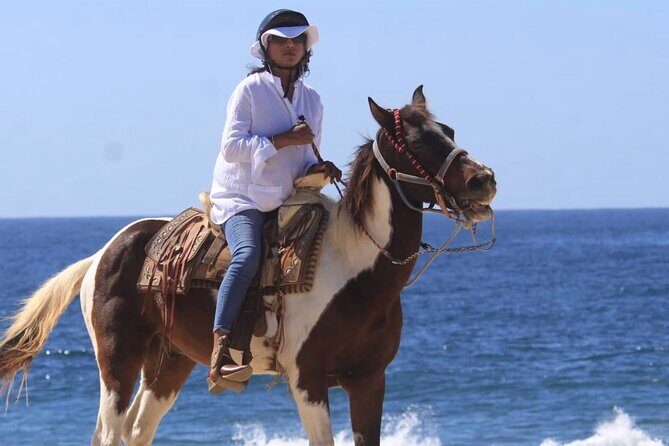 Beach & Desert Horseback Tour - A Unique Way to Experience Cabo San Lucas: The Beach & Desert Horseback Tour