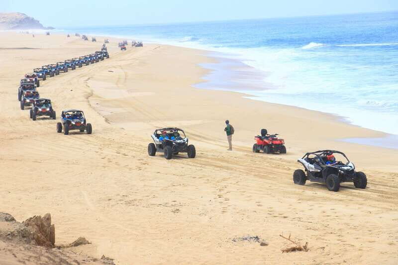 Beach & Desert Premium RC UTV Tour in Cabo price per person - Beach & Desert Premium RC UTV Tour in Cabo: A Thrilling Off-Road Adventure