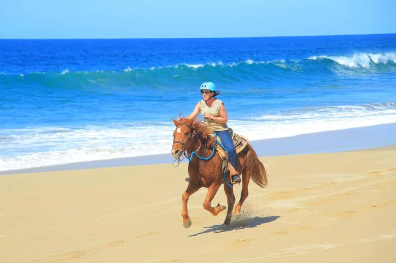 Beach & Deset 3 in 1 Tour in Cabo by Cactus Tours - Who Is This Tour Best For?