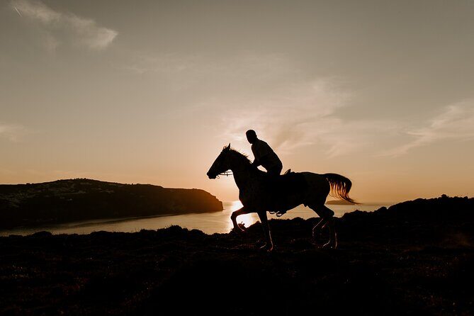 Beach gallop - horse riding Safari for experienced riders - FAQ