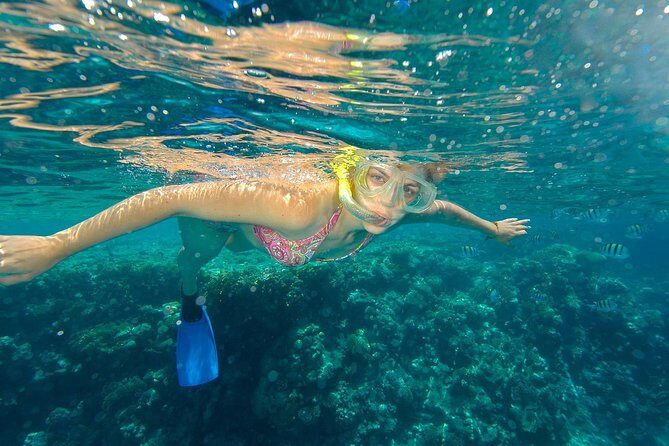 Beach Hopper Small-Group Snorkeling Tour in Los Cabos - A Deep Dive into the Beach Hopper Snorkeling Tour