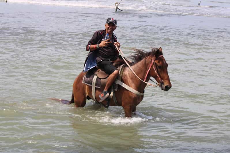 Beach horse back riding with countryside - What Are Travelers Saying?