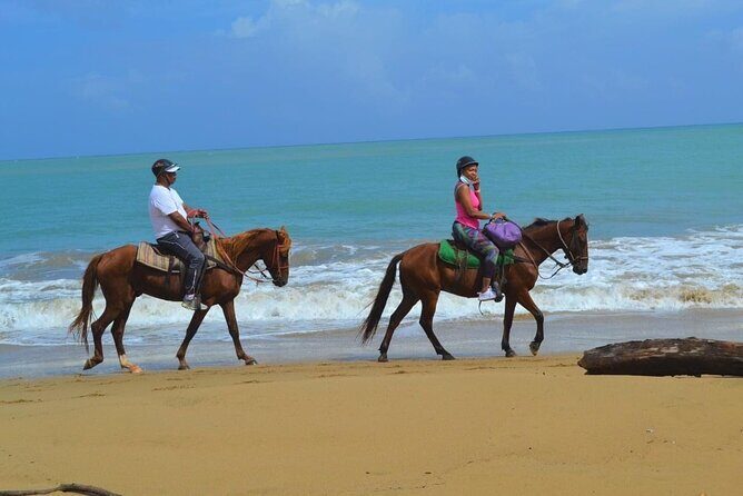 Beach Horse Ride with countryside amber cove & Taino Bay - Final Thoughts