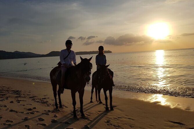 Beach Horse Riding At Sunset In Phuket - An In-Depth Look at the Experience