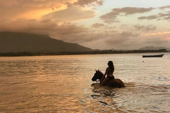 Beach Horseback Ride Tour in Puerto Plata - Scenic & Fun for All - The Experience in Detail