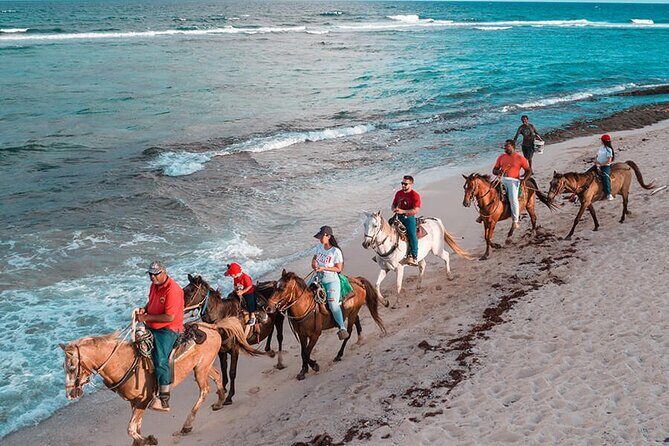 Beach Horseback Riding Adventure in Punta Cana - Considerations and Tips
