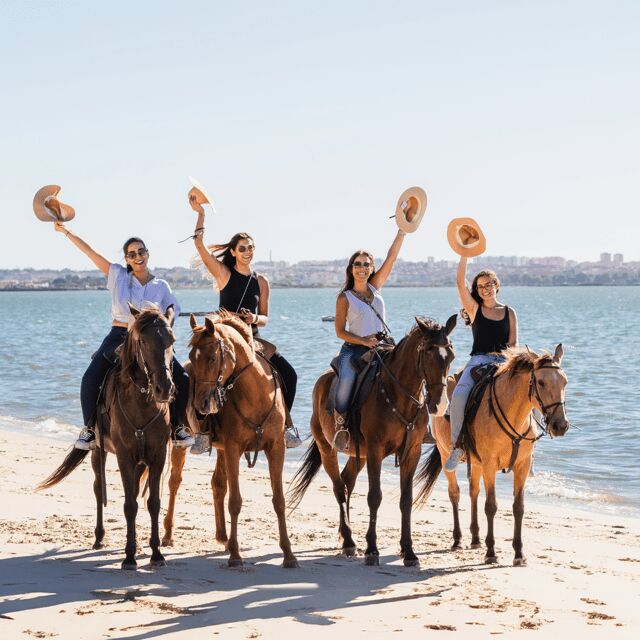 Beach Horseback Riding in GROUP + Photo Report - PDT - Price and Value