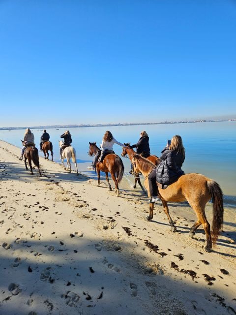 Beach Horseback Riding in GROUP + Photo Report - PDT - Who Will Love This Tour?