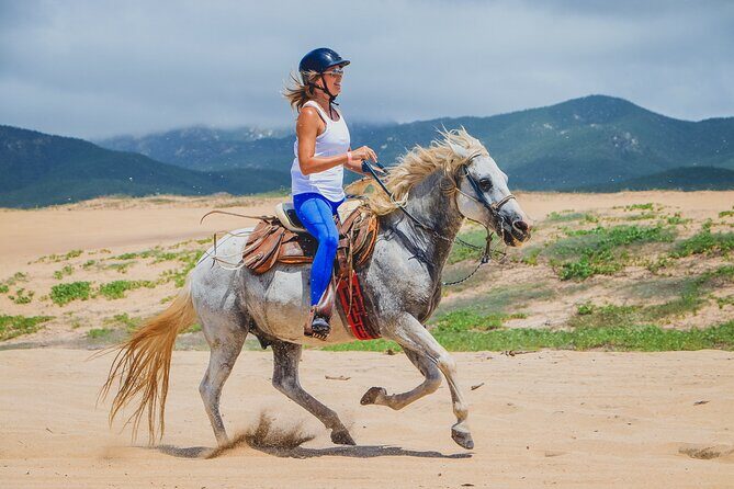 Beach Horseback Riding in Los Cabos - Who Should Consider This Tour