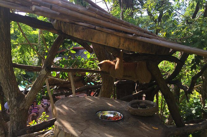 Beach-mountain & Sloth Refuge Atv Tour - A Fun Blend of Adventure and Wildlife in Guanacaste