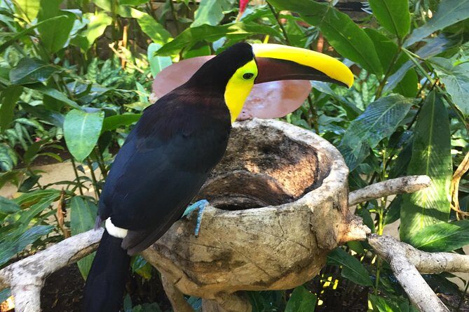 Beach-mountain & Sloth Refuge Atv Tour - Key Points