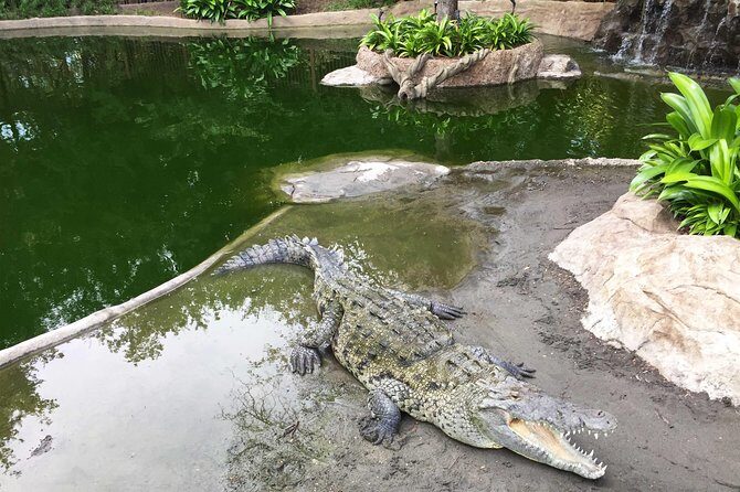 Beach-mountain & Sloth Refuge Atv Tour - Possible Drawbacks and Considerations