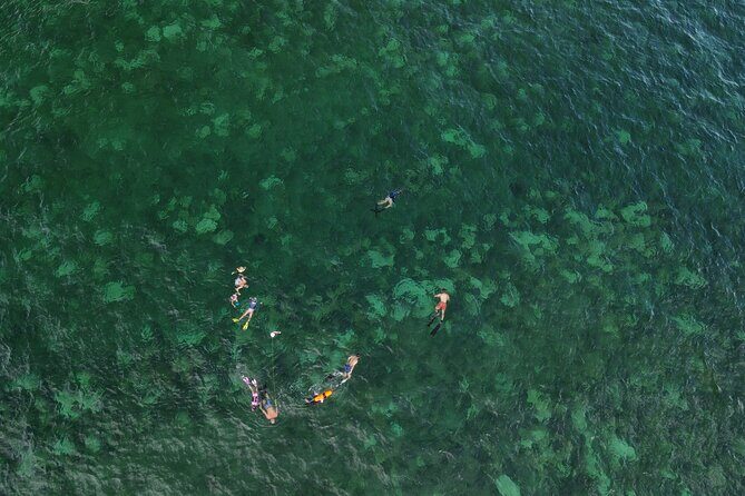 Beach Snorkeling Adventure in Lauderdale by the Sea - Final Thoughts: Is This Tour Right for You?