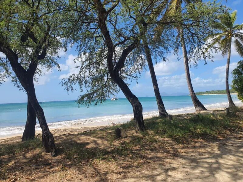 Beach tour and visit to a rum distillery in Le Marin with driver - Key Points