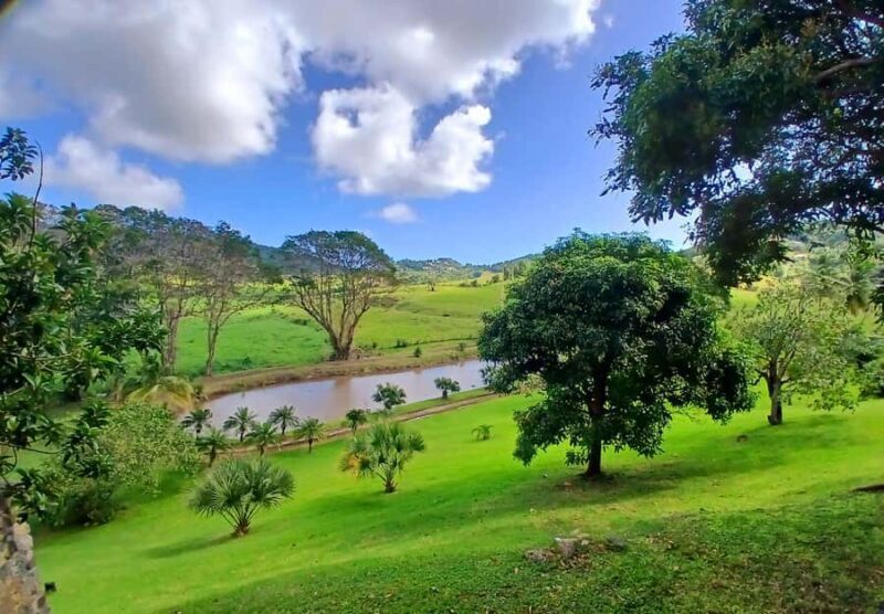 Beach tour and visit to a rum distillery in Le Marin with driver - In-Depth Review