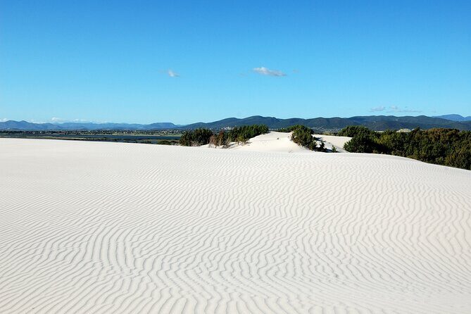 Beach Tour Porto Pino and Piscinnì - Additional Details and Practicalities
