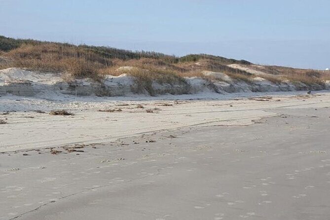 Beach Treasure Hunt & Jewelry Workshop! St. Simons Island Beach - Frequently Asked Questions