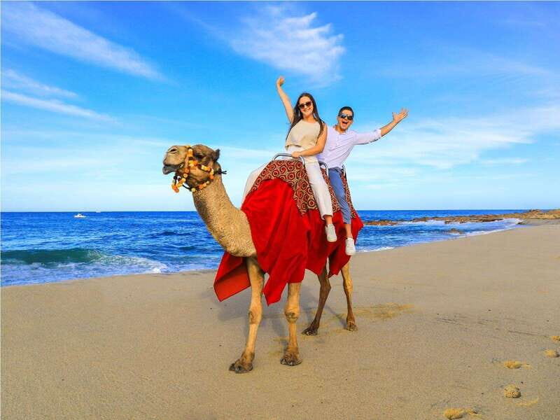 Beach UTV & Camel Ride COMBO in Cabo by Cactus Tours Park - Who Should Consider This Tour?