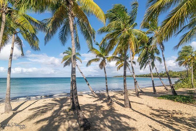 Beachcombing in Paradise South Caribbean V.I.P Tour - Beachcombing in Paradise South Caribbean V.I.P Tour: A Detailed Review