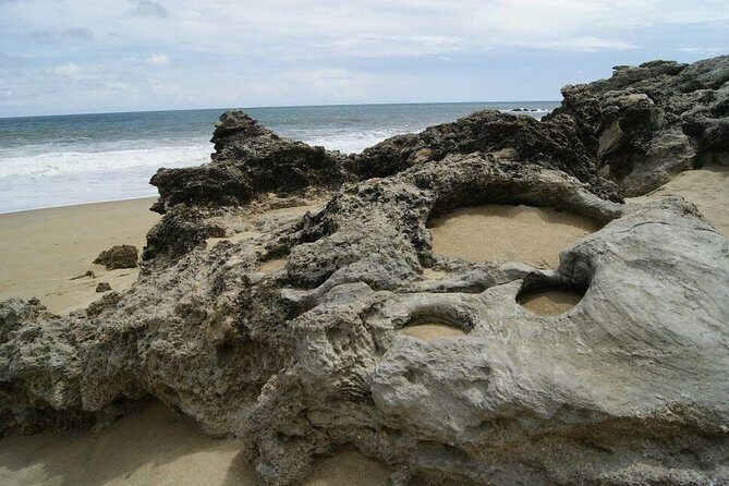 Beaches Dolphins And Viewpoints Discovering The Hidden Port By Sea And Land - Final Thoughts