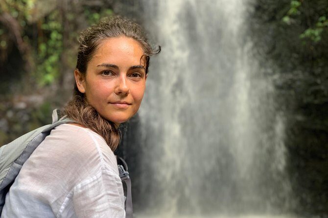 Beaches, Food & Aloha: Private Oahu Tour - Tasting Local Flavors: Food Trucks, Pineapple, and Nuts