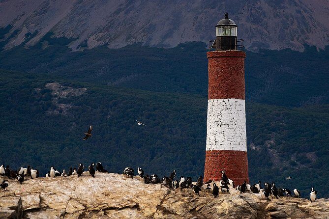 Beagle Channel Navigation with Minitrekking - Price and Value Analysis