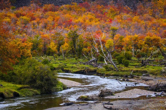 Beagle Channel to Martillo Island and Walk Among Penguins - The Sum Up