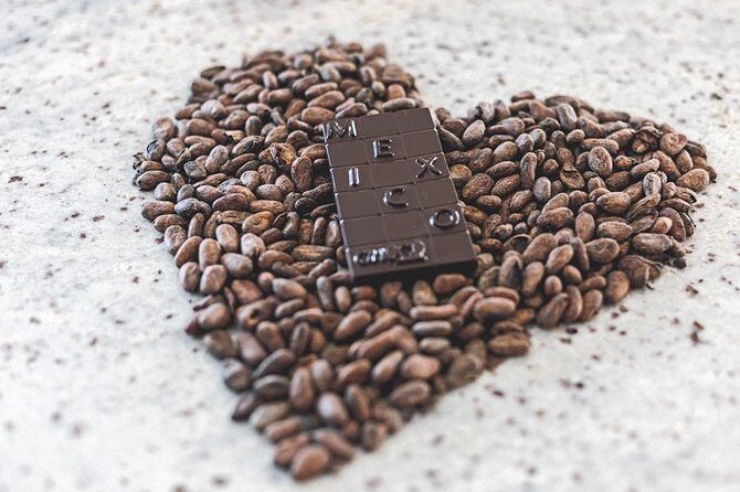 Bean to Bar Chocolate Workshop in Puerto Vallarta - Who Will Love This?