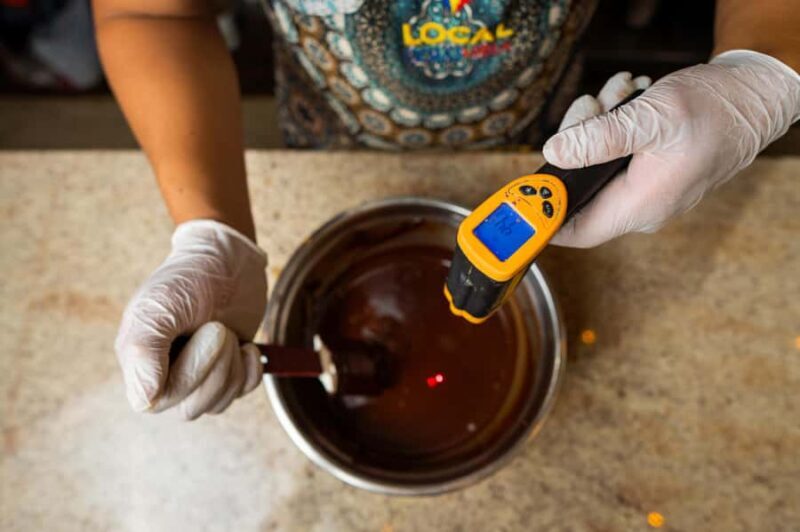 Bean to Bar: Cocoa and Chocolate Workshop - Key Points