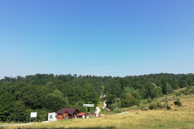 Bear Sanctuary and Dracula's Castle, 1-day Private Tour - Key Points