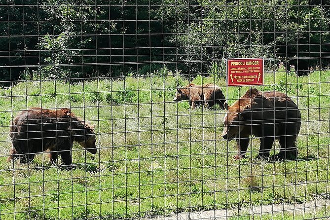 Bear Sanctuary and Dracula's Castle, 1-day Private Tour - Who Should Consider This Tour?