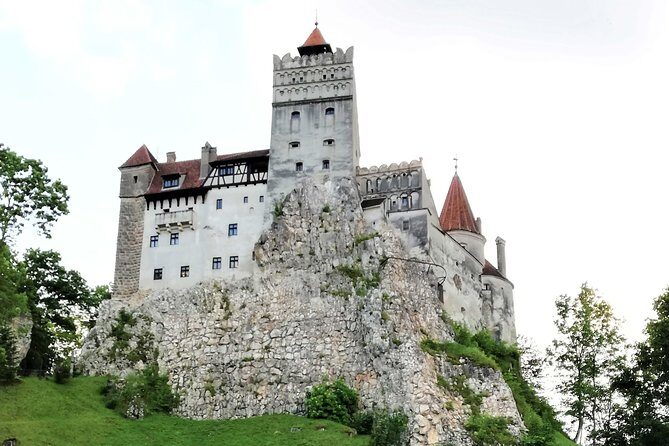 Bear Sanctuary and Dracula's Castle, 1-day Private Tour - FAQ