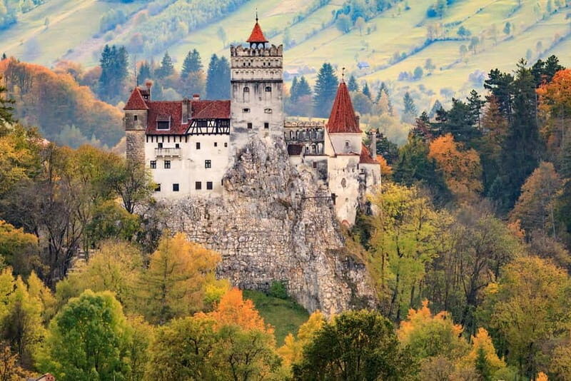 Bear Sanctuary, Dracula's Castle and Brasov | Private Tour - A Day of Mysteries and Marvels: Bear Sanctuary, Draculas Castle, and Brasov
