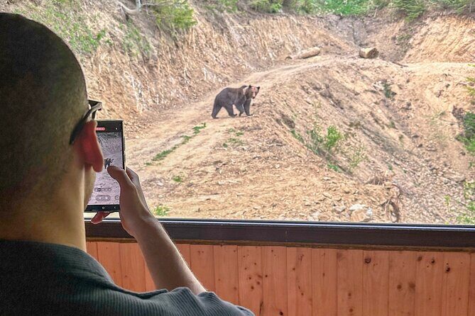 Bear Watching In Brasov: Observe Wild Bears From A Hideout (100%) - FAQ: Your Questions Answered