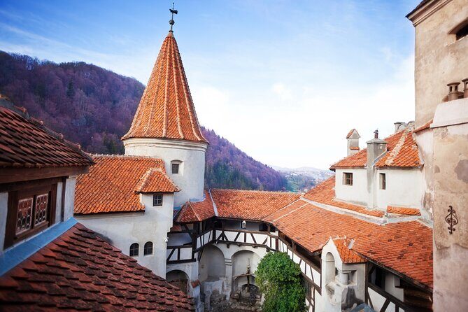 Bears Sanctuary, Dracula Castle and Poiana Brasov-Private day tour from Brasov - Key Points