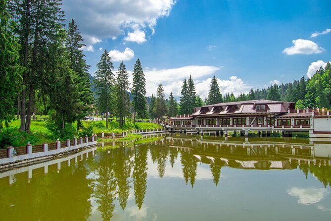 Bears Sanctuary, Dracula Castle and Poiana Brasov-Private day tour from Brasov - Final Thoughts