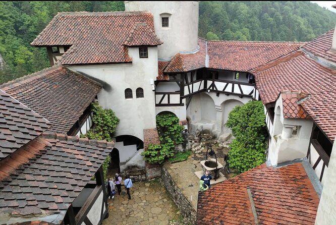 Bears Sanctuary, Dracula's Castle and Braov City - Private Tour - Exploring the Experience