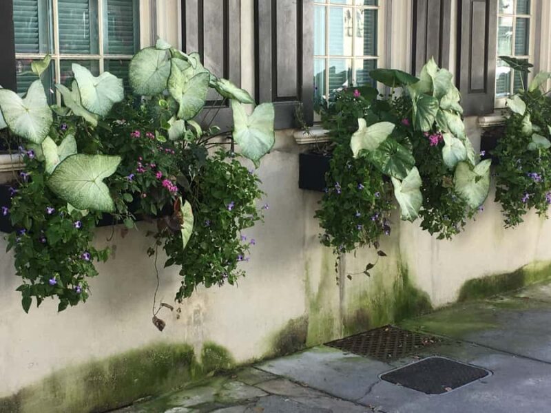 Beat The Heat! Evening Walking History Tour - FAQ