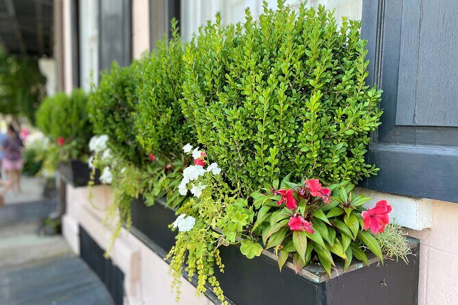 Beat the Heat! Take an Evening History Tour of Charleston! - Frequently Asked Questions