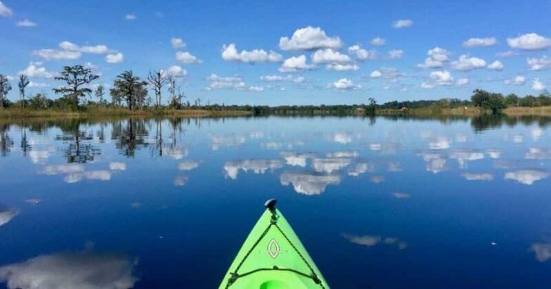 Beaufort: Guided Kayak Tour with Wildlife Viewing - Authenticity and Value