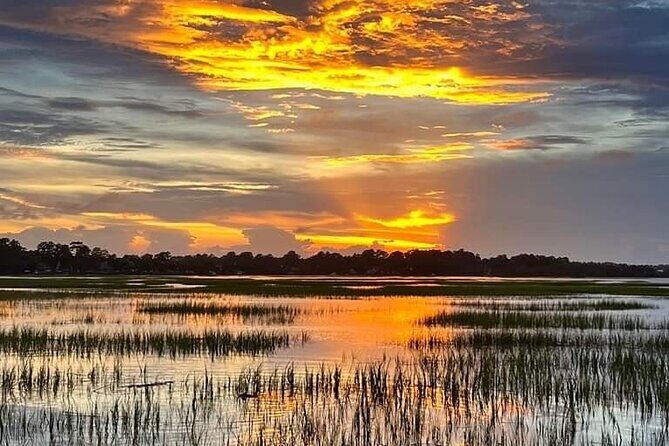 Beaufort Private Dolphin Excursions - Final Thoughts