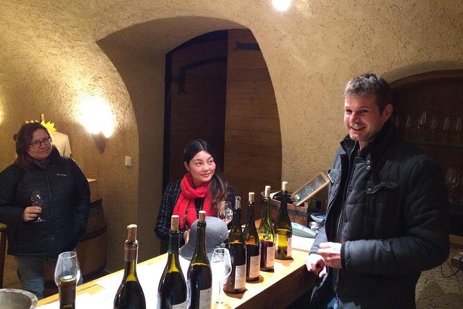 Beaujolais Crus Wines & Castles (2:00 pm - 6:30 pm) - Small Group Tour from Lyon - The Sum Up: Who Should Consider This Tour?