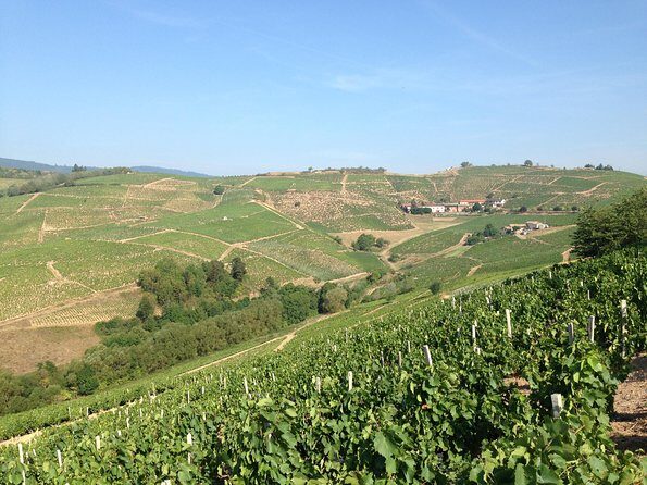 Beaujolais Crus Wines & Castles (9:00 am - 1:30 pm) - Small Group Tour from Lyon - Frequently Asked Questions