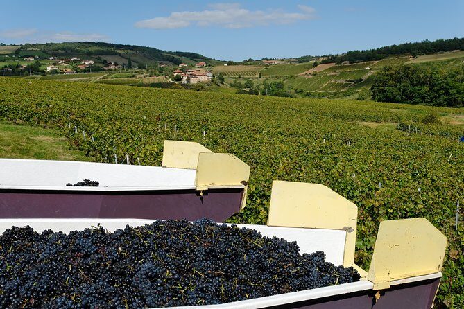 Beaujolais & Perouges Medieval Town (9:00 am to 5:15 pm - Small Group Tour Lyon - Final thoughts