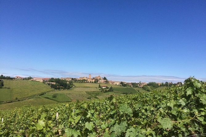 Beaujolais & Perouges Medieval Town - Private Tour - Full Day from Lyon - What Past Guests Say