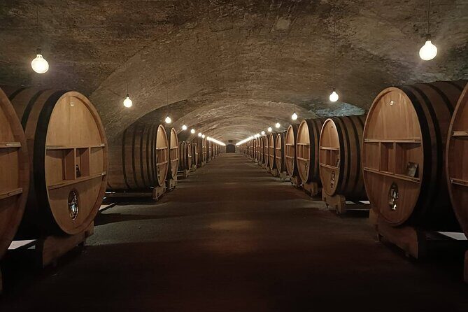 Beaujolais wine and Perouges village full day shared tour - Who Will Love This Tour?