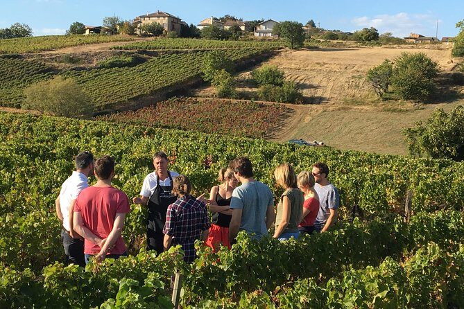 Beaujolais Wine Discovery - Half Day - Small group tour from Lyon - When to Book