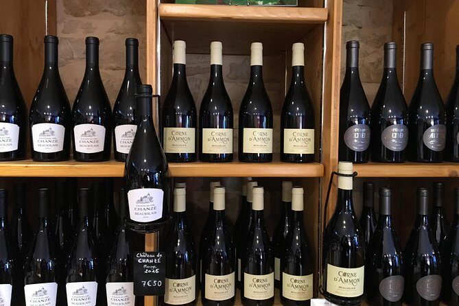 Beaujolais Wine Discovery - Half Day - Small group tour from Lyon - Who Would Enjoy This Tour?