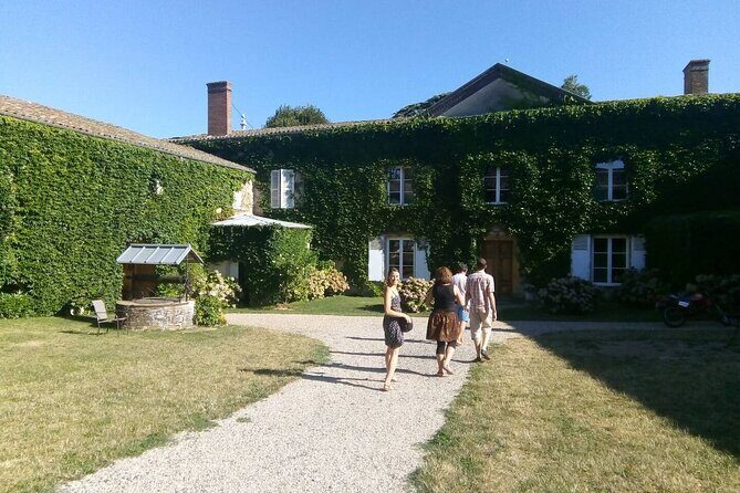 Beaujolais Wine Tour - Tastings & Gourmet Picnic Lunch - Who Will Love This Tour?